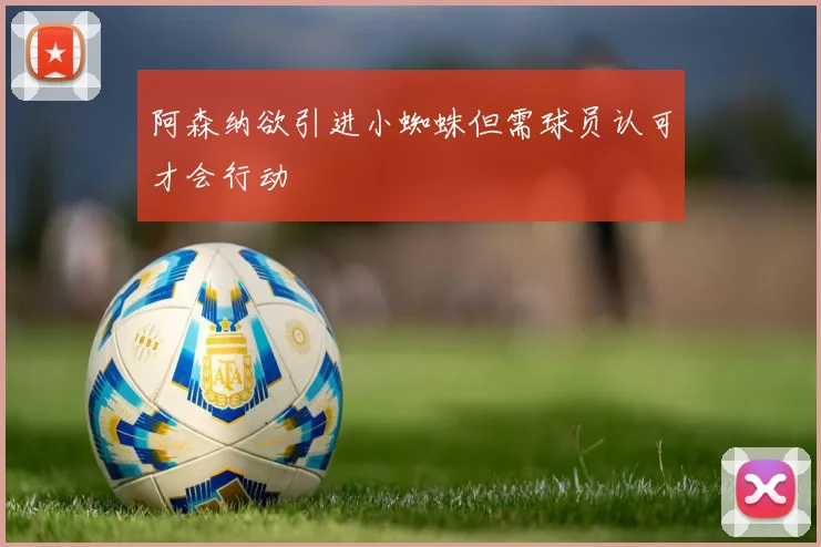 阿森纳欲引进小蜘蛛但需球员认可才会行动