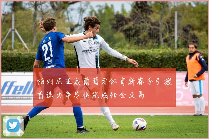 帕利尼亚成葡萄牙体育新赛季引援首选力争尽快完成转会交易