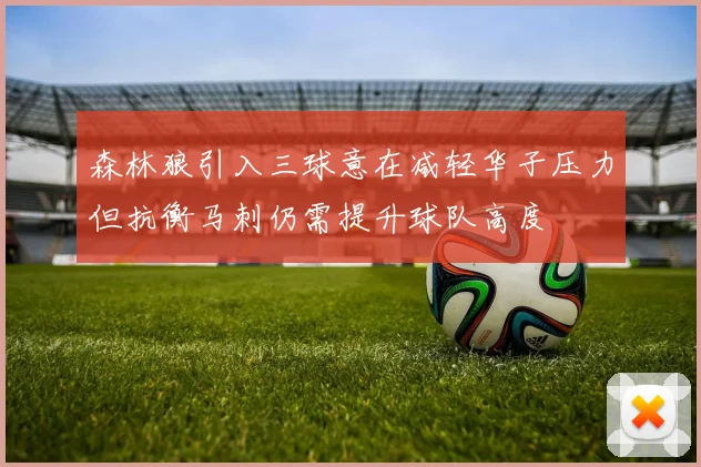 森林狼引入三球意在减轻华子压力但抗衡马刺仍需提升球队高度