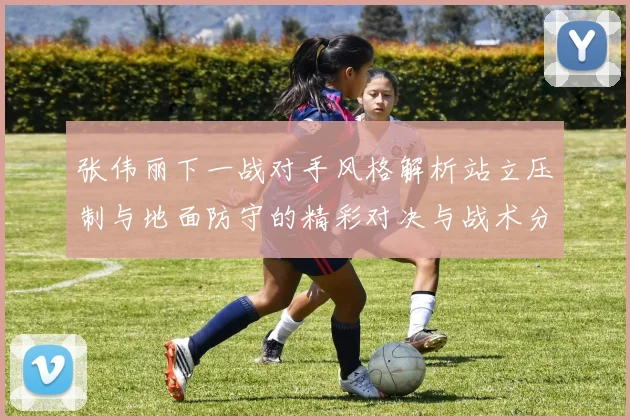 张伟丽下一战对手风格解析站立压制与地面防守的精彩对决与战术分析